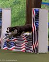 20260103-acnh-2236