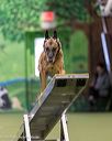 20260103-acnh-2212