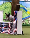 20260103-acnh-2218