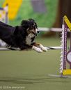 20260103-acnh-2008