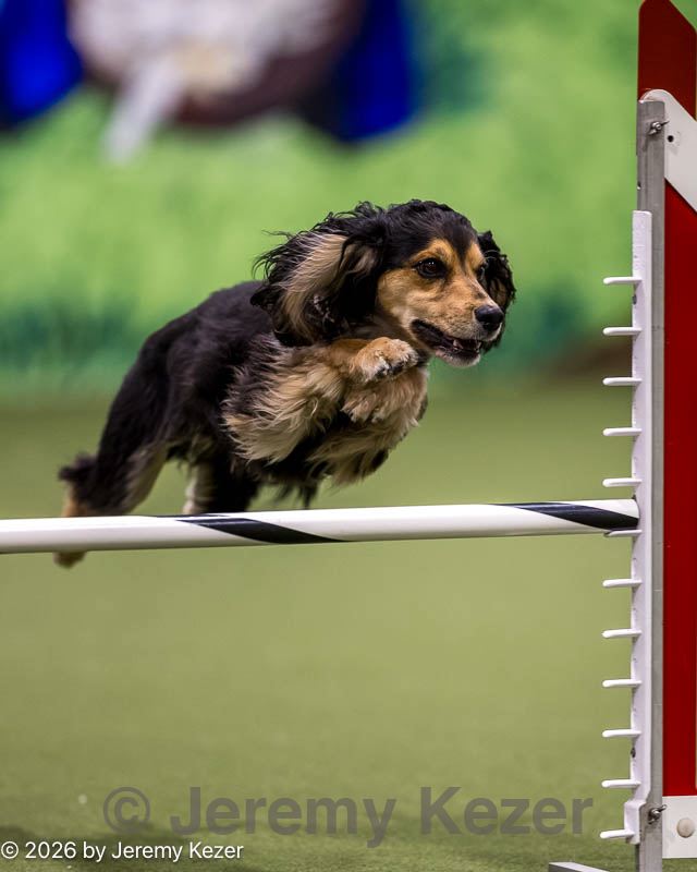 20260103-acnh-2014.jpg