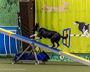 20260103-acnh-2496
