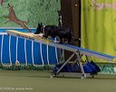 20260103-acnh-2497