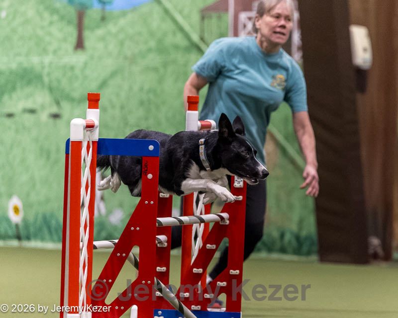 20260103-acnh-2501.jpg