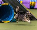 20260103-acnh-2478