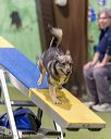 20260103-acnh-2483