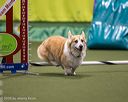 20260103-acnh-2190