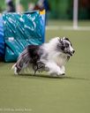 20260103-acnh-2117