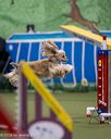 20260103-acnh-2149