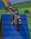 20260103-acnh-2106