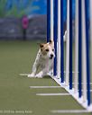 20260104-acnh-0028