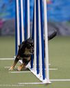 20260104-acnh-0121