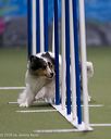 20260104-acnh-0126