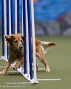 20260104-acnh-0137