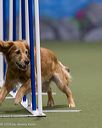 20260104-acnh-0139