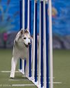 20260104-acnh-0169