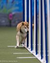 20260104-acnh-0186