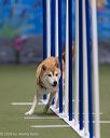 20260104-acnh-0187