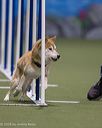 20260104-acnh-0190