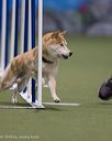20260104-acnh-0191