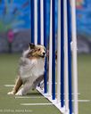 20260104-acnh-0193