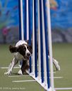 20260104-acnh-0221