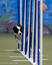 20260104-acnh-0226