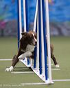 20260104-acnh-0233