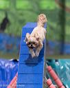 20260104-acnh-0247