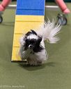 20260104-acnh-0253