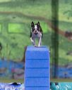 20260104-acnh-0262