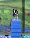 20260104-acnh-0263