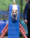 20260104-acnh-0271