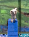 20260104-acnh-0274