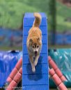 20260104-acnh-0278