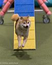 20260104-acnh-0280