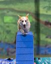 20260104-acnh-0283