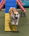20260104-acnh-0287