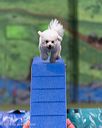 20260104-acnh-0288