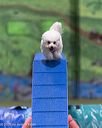 20260104-acnh-0289