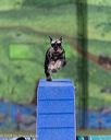 20260104-acnh-0307