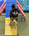 20260104-acnh-0331