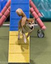 20260104-acnh-0336