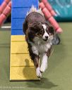 20260104-acnh-0349