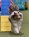 20260104-acnh-0356