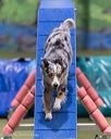 20260104-acnh-0361