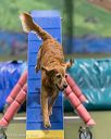 20260104-acnh-0377