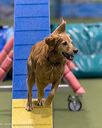20260104-acnh-0378