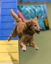 20260104-acnh-0379