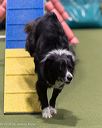 20260104-acnh-0389